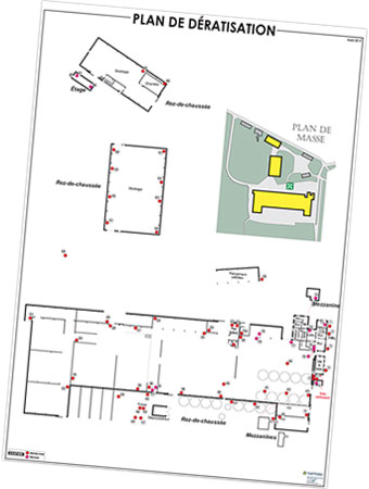 plan deratisation - Dératisation / Désinsectisation